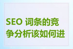 SEO 词条的竞争分析该如何进行