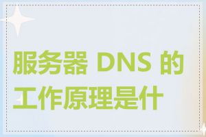 服务器 DNS 的工作原理是什么