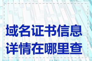 域名证书信息详情在哪里查看