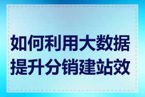 如何利用大数据提升分销建站效率