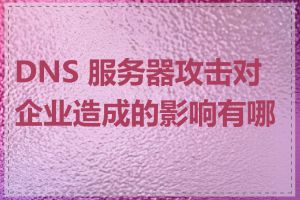 DNS 服务器攻击对企业造成的影响有哪些