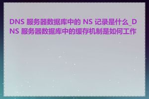 DNS 服务器数据库中的 NS 记录是什么_DNS 服务器数据库中的缓存机制是如何工作的