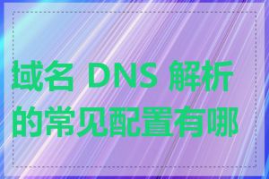 域名 DNS 解析的常见配置有哪些