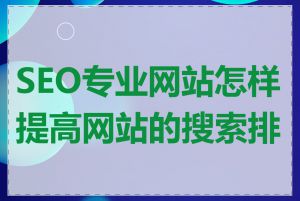 SEO专业网站怎样提高网站的搜索排名