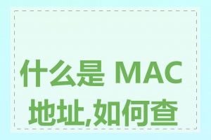 什么是 MAC 地址,如何查看