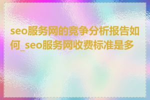 seo服务网的竞争分析报告如何_seo服务网收费标准是多少