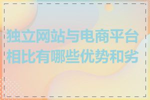 独立网站与电商平台相比有哪些优势和劣势