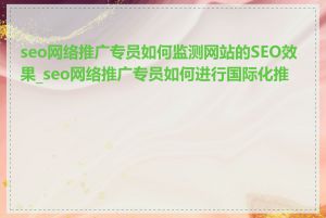 seo网络推广专员如何监测网站的SEO效果_seo网络推广专员如何进行国际化推广