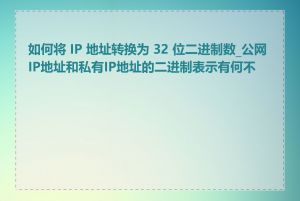 如何将 IP 地址转换为 32 位二进制数_公网IP地址和私有IP地址的二进制表示有何不同