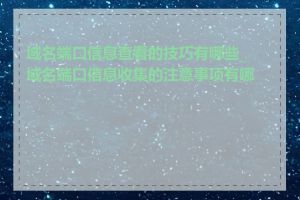 域名端口信息查看的技巧有哪些_域名端口信息收集的注意事项有哪些