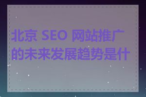 北京 SEO 网站推广的未来发展趋势是什么