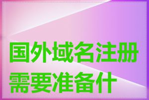 国外域名注册需要准备什么