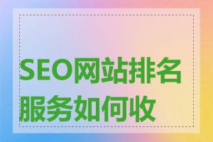 SEO网站排名服务如何收费