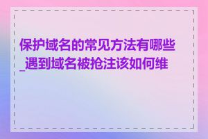 保护域名的常见方法有哪些_遇到域名被抢注该如何维权