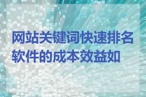 网站关键词快速排名软件的成本效益如何