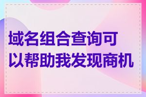 域名组合查询可以帮助我发现商机吗