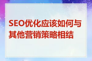 SEO优化应该如何与其他营销策略相结合