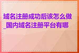 域名注册成功后该怎么做_国内域名注册平台有哪些