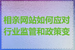 相亲网站如何应对行业监管和政策变化