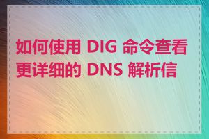 如何使用 DIG 命令查看更详细的 DNS 解析信息