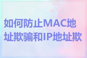 如何防止MAC地址欺骗和IP地址欺骗