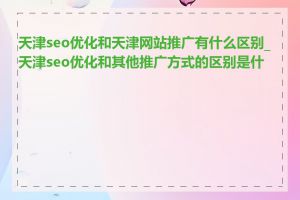 天津seo优化和天津网站推广有什么区别_天津seo优化和其他推广方式的区别是什么