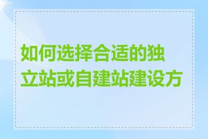 如何选择合适的独立站或自建站建设方案