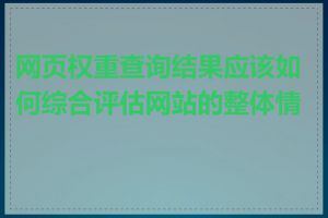 网页权重查询结果应该如何综合评估网站的整体情况