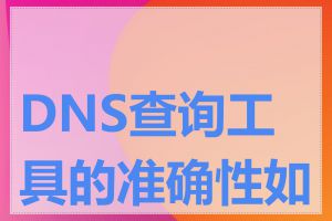 DNS查询工具的准确性如何