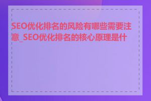 SEO优化排名的风险有哪些需要注意_SEO优化排名的核心原理是什么