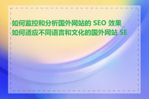 如何监控和分析国外网站的 SEO 效果_如何适应不同语言和文化的国外网站 SEO