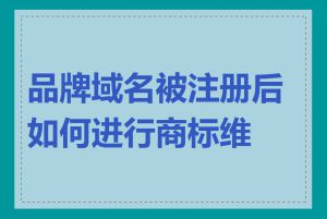 品牌域名被注册后如何进行商标维权