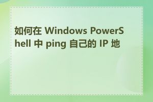 如何在 Windows PowerShell 中 ping 自己的 IP 地址