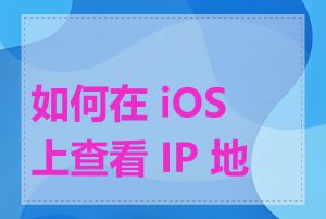 如何在 iOS 上查看 IP 地址