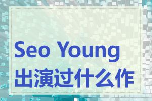 Seo Young出演过什么作品