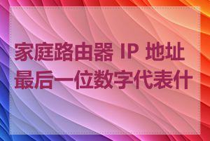 家庭路由器 IP 地址最后一位数字代表什么