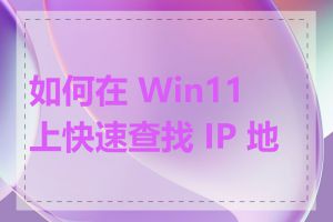 如何在 Win11 上快速查找 IP 地址