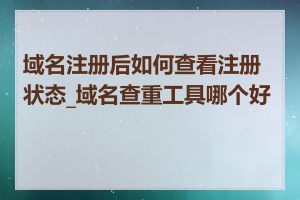 域名注册后如何查看注册状态_域名查重工具哪个好用