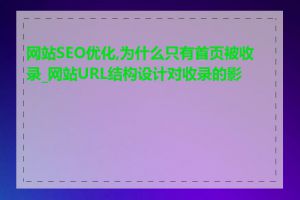 网站SEO优化,为什么只有首页被收录_网站URL结构设计对收录的影响