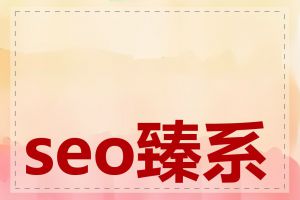 seo臻系统是什么