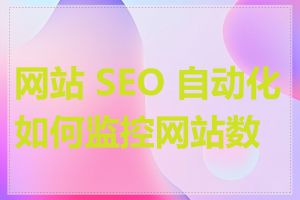 网站 SEO 自动化如何监控网站数据