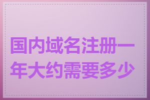 国内域名注册一年大约需要多少钱