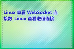 Linux 查看 WebSocket 连接数_Linux 查看进程连接数