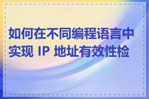 如何在不同编程语言中实现 IP 地址有效性检查