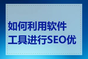 如何利用软件工具进行SEO优化