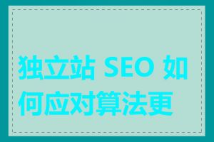 独立站 SEO 如何应对算法更新