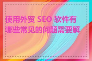 使用外贸 SEO 软件有哪些常见的问题需要解决