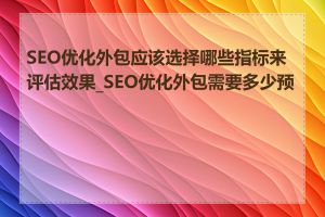 SEO优化外包应该选择哪些指标来评估效果_SEO优化外包需要多少预算