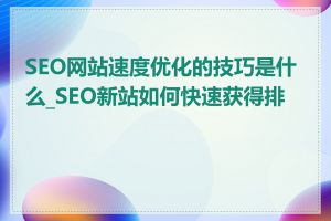 SEO网站速度优化的技巧是什么_SEO新站如何快速获得排名