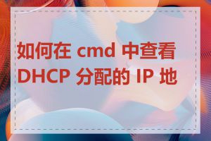 如何在 cmd 中查看 DHCP 分配的 IP 地址